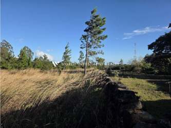 Vacant natural Boquete land with pine trees and open terrain under blue sky