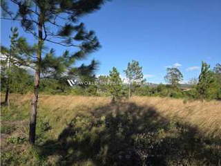 Land Lot for Sale in Boquete District - 0 bedrooms
