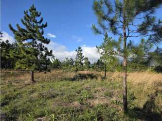 Suburban and mountain panorama aerial of Boquete land plots