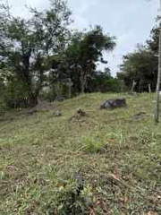 Vacant Land for Sale in Río Hato / El Chirú - 0 bedrooms