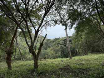 Wooded hillside with lush vegetation and trees perfect land for eco-development near El Valle Panama