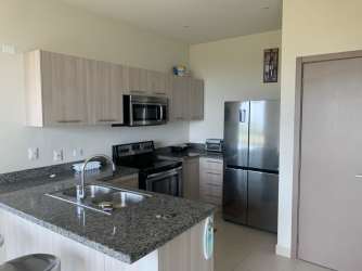 Aerial showing tropical pool area with palapas on ocean side at Ensenada Beach Resort Panama