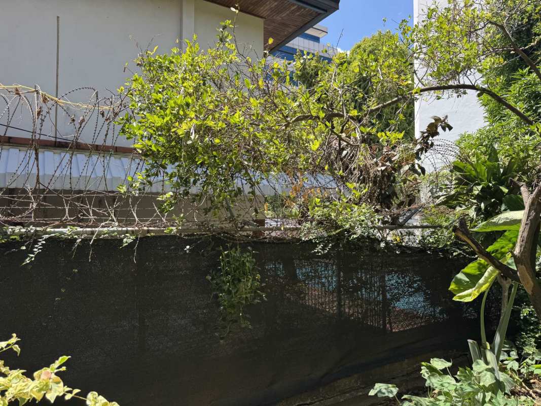 Street view of Obarrio business area showing Kenex Plaza on Calle 59 Panama City