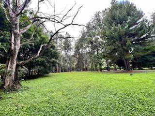 Land for Sale in Sora - 0 bedrooms