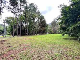 Spacious grassy lot ready for construction with forest surroundings in Altos del María Panama