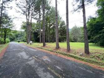 Hilltop lot surrounded by lush trees at Altos del María Panama