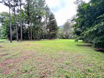 Large natural green mountain lot in gated Altos del María Panama community
