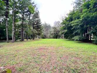 Natural mountain terrain with grass and mature trees in Altos del María Chame Panama
