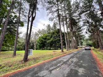 Cleared area surrounded by forest and mountain terrain in Altos del María Panama