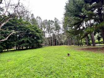 Spacious wooded lot surrounded by greenery in exclusive Altos del María Panama