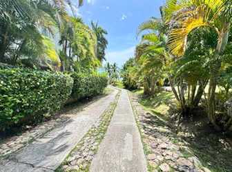 Palm trees and lush landscaping along the road in PH Punta Barco Village Panama