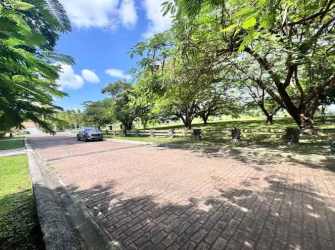 Tree-lined asphalt road inside PH Punta Barco Village Punta Barco Panama