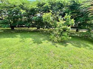 Land for Sale in Punta Barco - 0 bedrooms