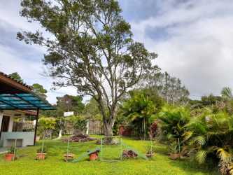 Spacious garden with mature trees, covered patio, fenced yard Boquete Panama