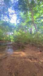 Forest area with natural creek inside titled 1000m2 land plots in Santa Maria Penonomé Panama