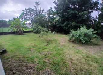 Large fenced backyard with grass and trees single-family rental home Boquerón Chiriquí Panama
