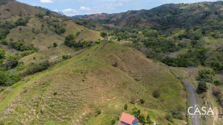 Scenic 5-hectare countryside land with mountain backdrop in Cambutal Panama