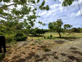 Land for Sale in Cerro Azul - 0 bedrooms