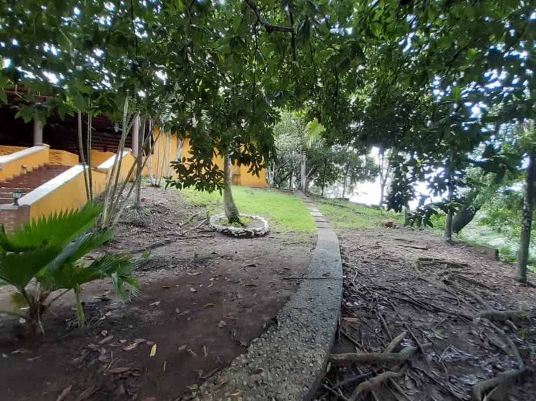 Green trees and hills on property suitable for commercial development in Panama City