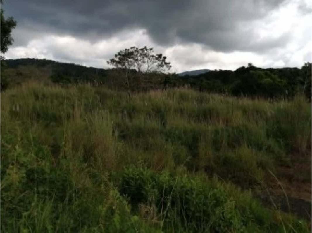 Vacant lot for sale in eco-friendly Green City with infrastructure ready