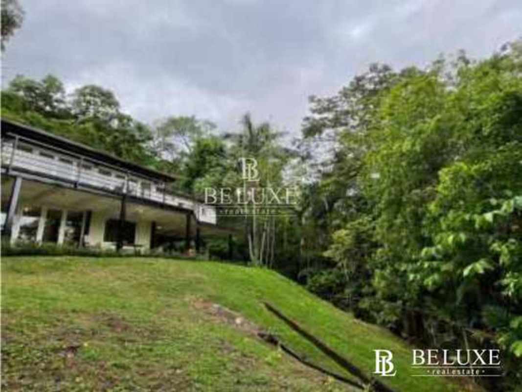 Large terrace in Ancon rental house overlooking mature tropical gardens Panama City