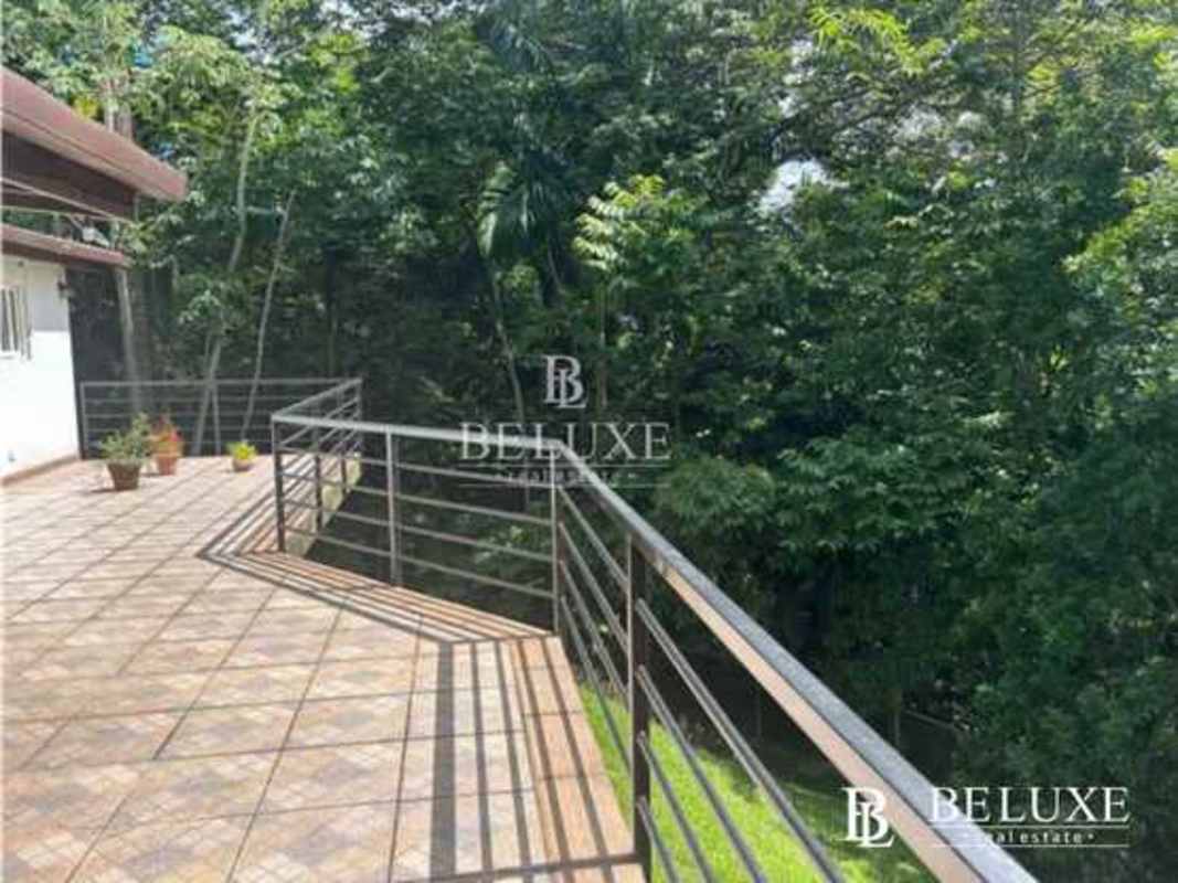 Open-plan living dining room with natural light and garden views rental house Ancon Panama