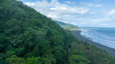 Green trees and forested area on beachfront property Cambutal Panama