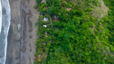 Paved access road and lush vegetation on beach property Panama