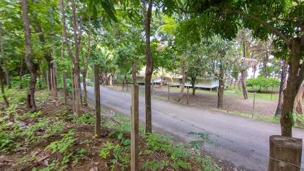 Pacific Ocean view from elevated land Cambutal Panama