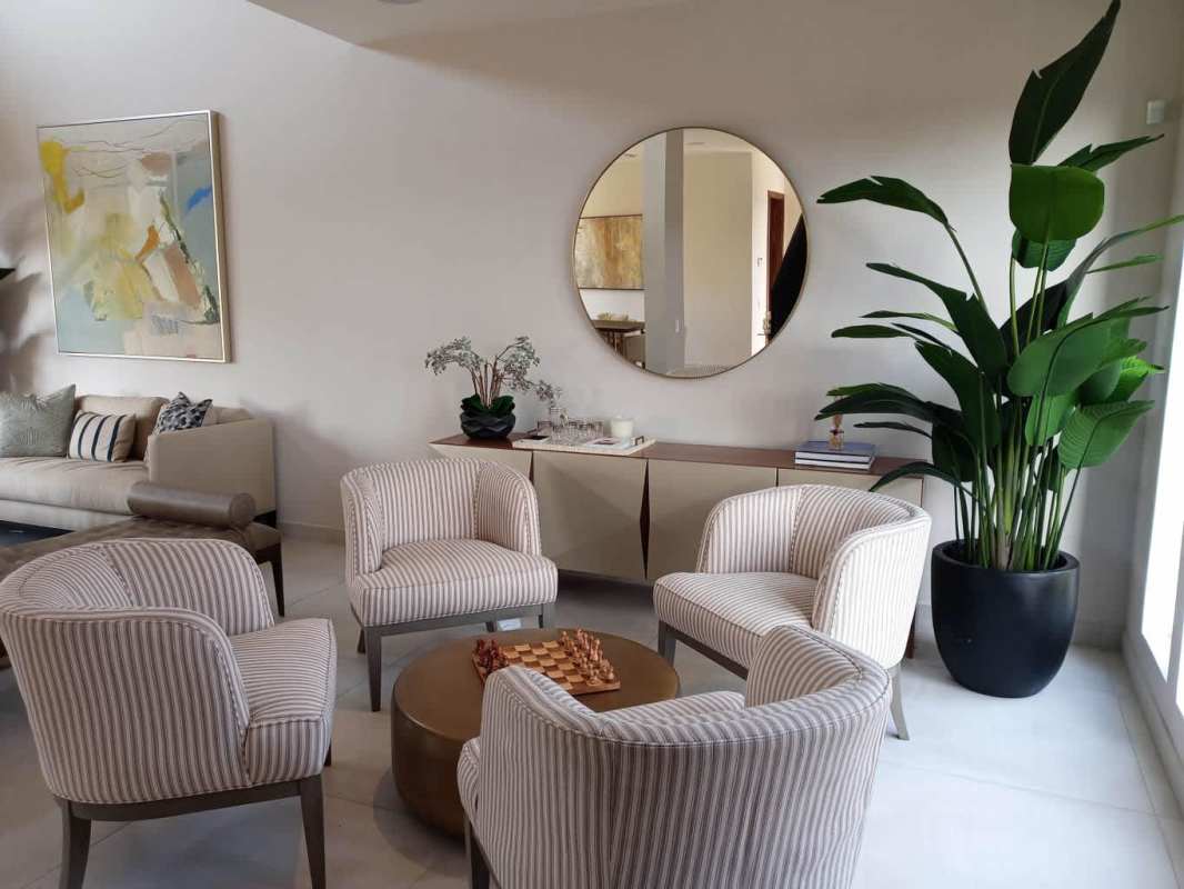 Modern living room with natural light striped armchairs greenery Santa Maria Panama