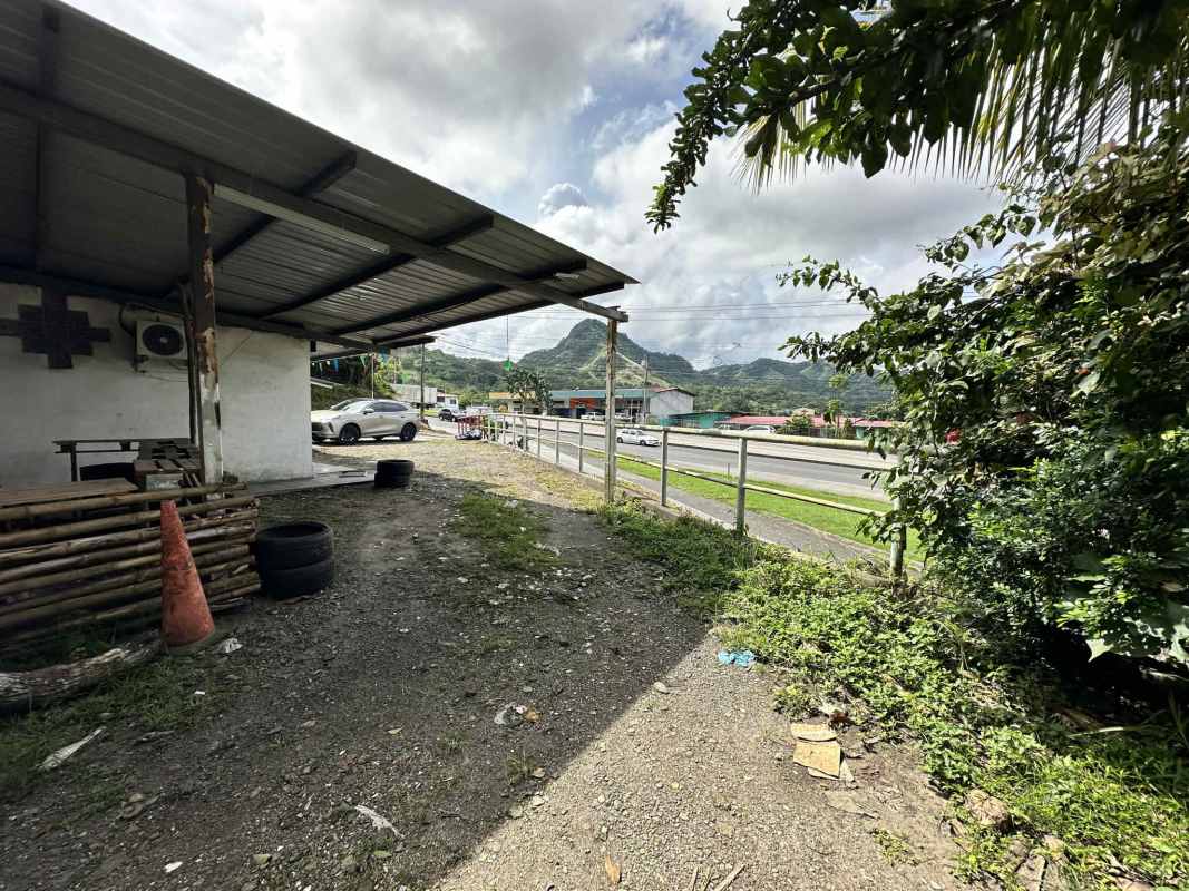 Vacant grassy lot adjacent to main road with utility poles and traffic in Las Cumbres Panama