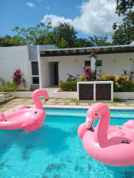 Laundry space with hookups washer possible Nueva Gorgona rental house Papiro