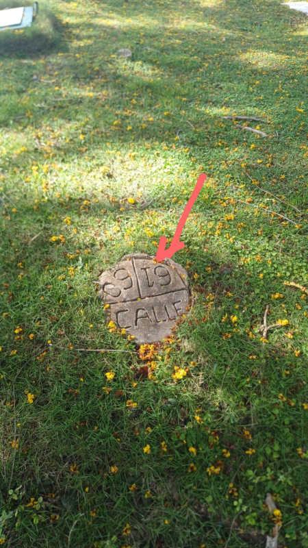Manhole cover on grassy lawn in Panama Viejo's Jardín de Paz cemetery with marker