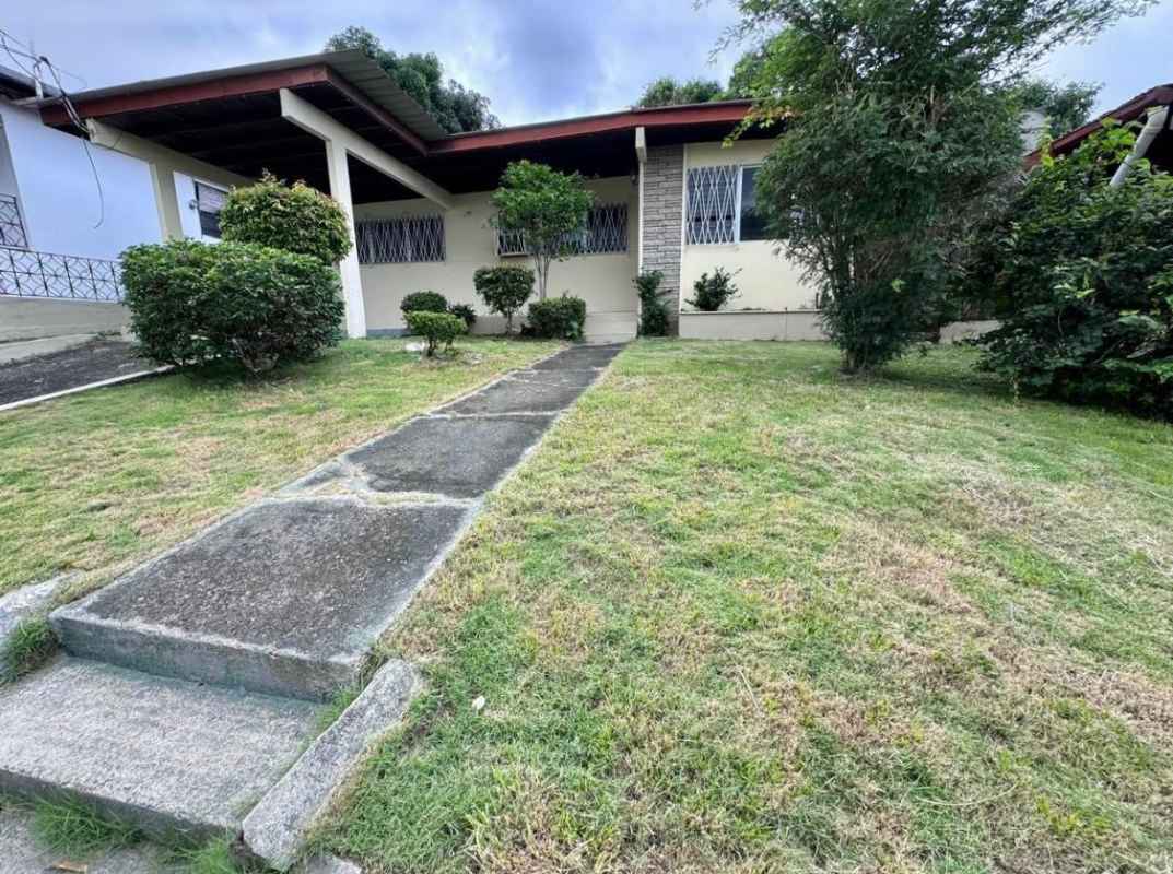 Large fenced backyard with grass trees shrubs house for sale Villa de las Fuentes Panama