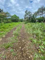 Lush grassland with tree line and open sky mountain side Alto Boquete Chiriquí