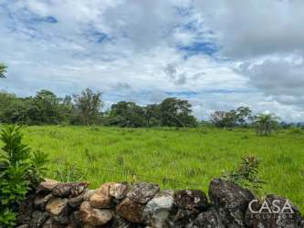 Open green hectares bordered by countryside in Alto Boquete Chiriquí Panama