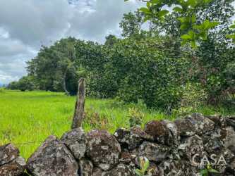 Flat plot bordered by mature trees with mountain vistas Alto Boquete Chiriquí