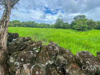 Land Plot for Sale in Alto Boquete - 0 bedrooms