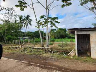 Land for Sale in Soná - 0 bedrooms