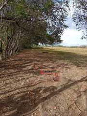 Property for rent in Panama City - 0 bedrooms