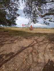 14.9 Hectares Development Land for Sale El Congo Coclé Panama - View 3