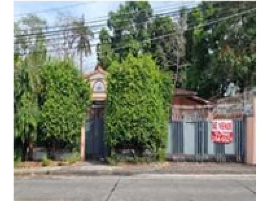 Secured entrance with tall green hedges, metal gate and paved driveway in luxury home area San Francisco Panama