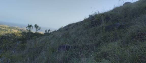 24,303m2 Scenic Land in Santa Cruz Penonomé Ideal for Eco Resort or Development