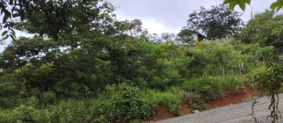Lush vegetation, gravel road and panoramic terrain in Santa Cruz Penonomé Panama