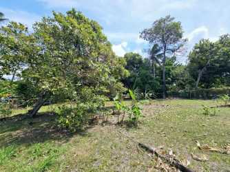 Spacious tropical plot with mature trees in Chame district Panama West