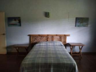 Single story beach home Coronado with large fenced lawn mature tropical trees lush greenery for rent