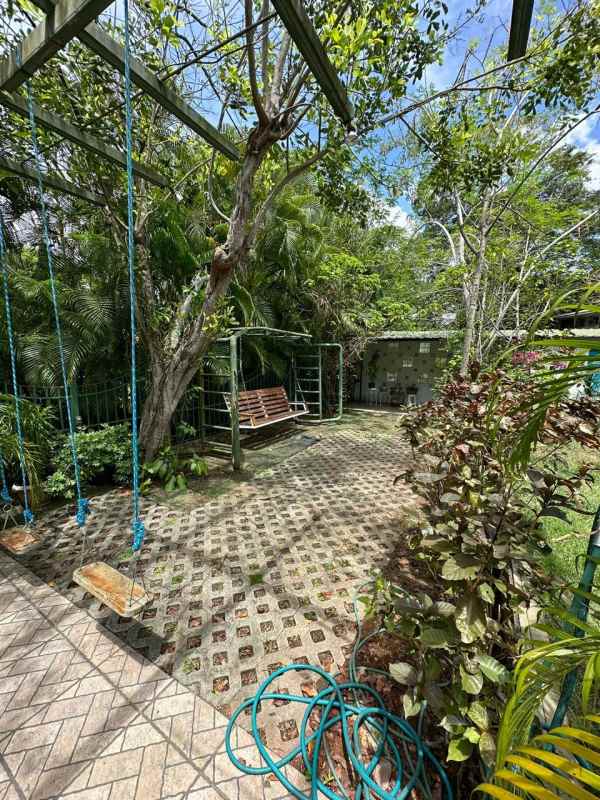 Spacious garden patio with swingset and vegetation at Balboa Ancón family house