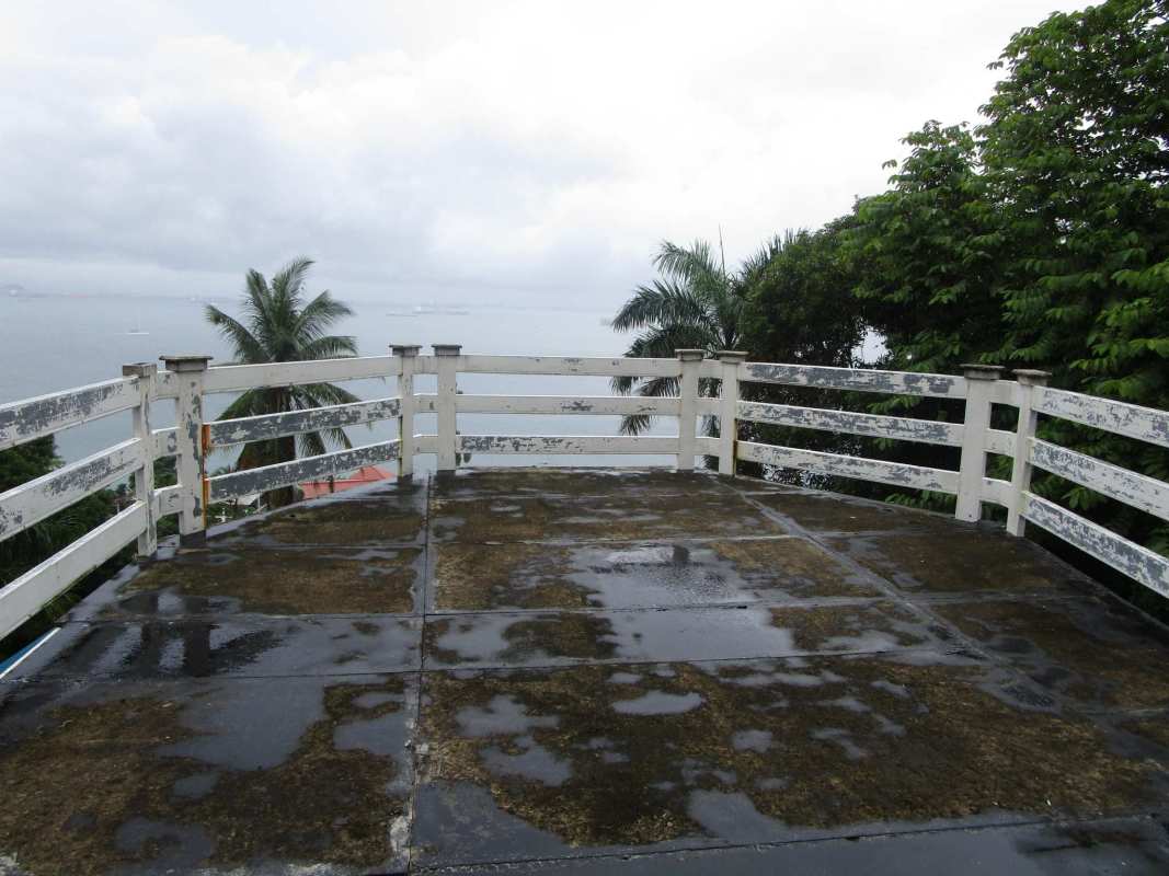 Tropical garden with banana plants and mature palms on large development lot Isla Taboga Panama