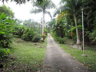 Land with structure for Sale in Taboga - 0 bedrooms