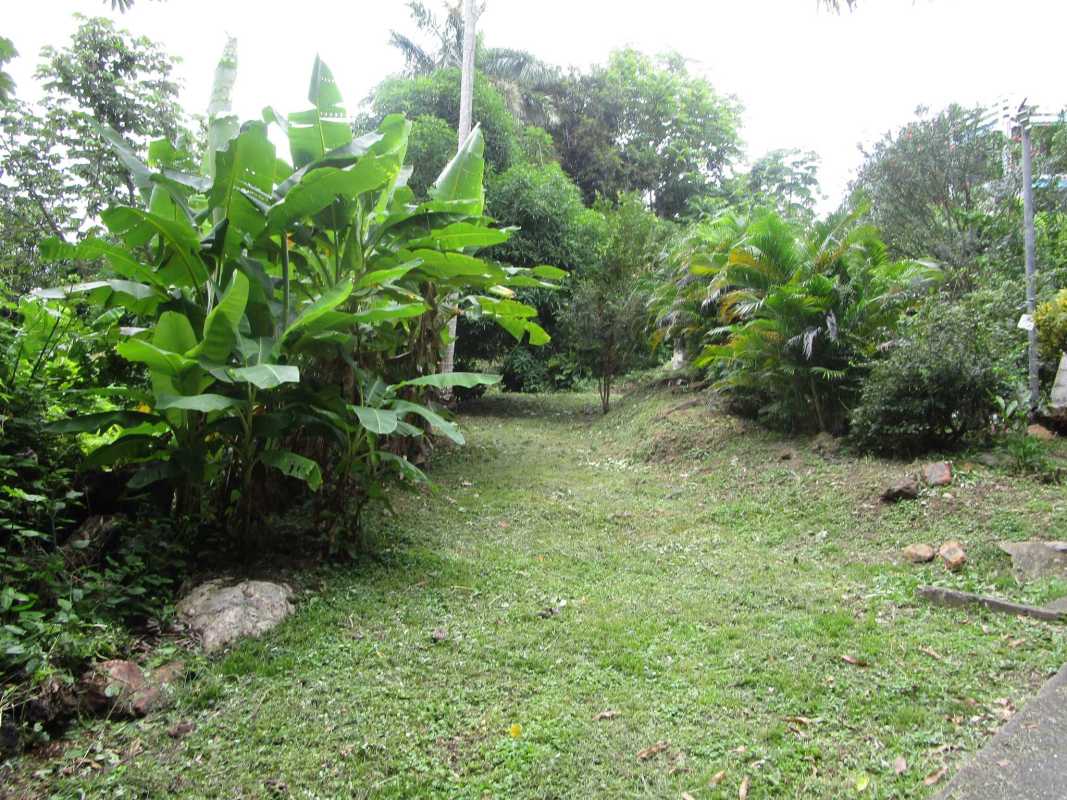 Stone steps in lush tropical greenery with partial ocean view Isla Taboga Panama